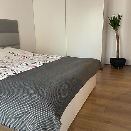The Botanic Corner Apartment Wroclaw Ngoại thất bức ảnh