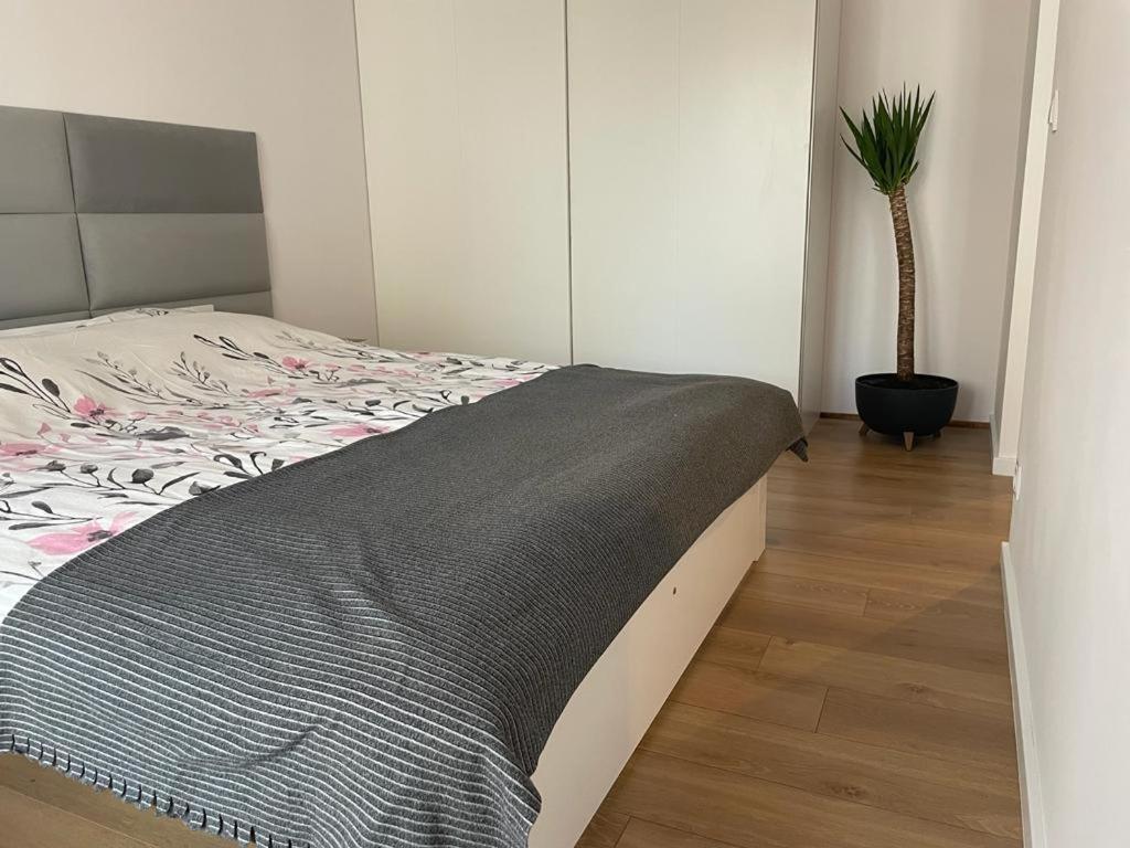 The Botanic Corner Apartment Wroclaw Ngoại thất bức ảnh